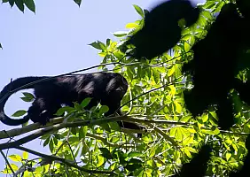 turistipercaso calakmul-p28ff