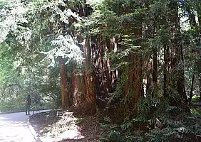 turistipercaso california-19pur