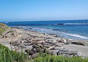 turistipercaso california-1j32e