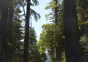 turistipercaso california-51cpv