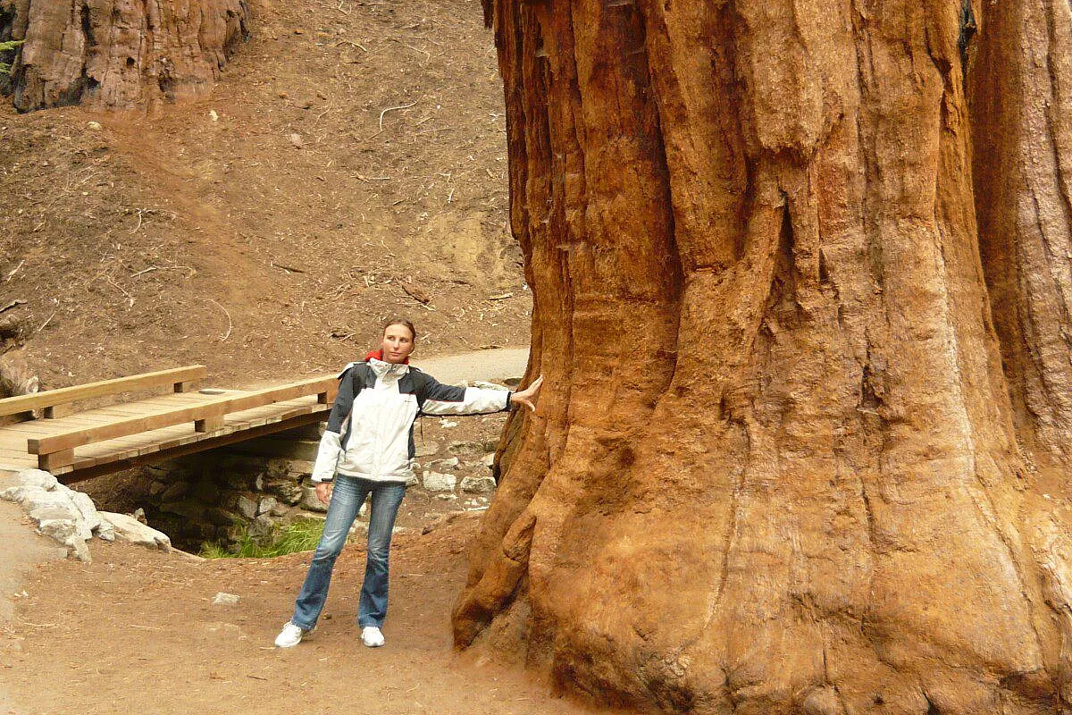 Al Sequoia park mi sono rimpicciolita
