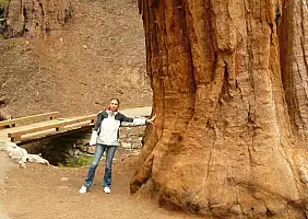 turistipercaso california-7gjdh