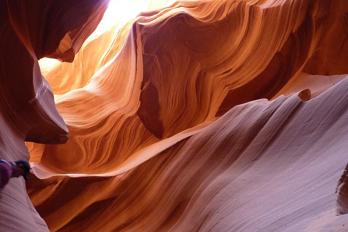 antelope lower