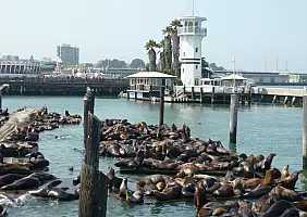turistipercaso california-9n856