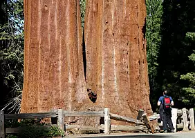 turistipercaso california-bg61u