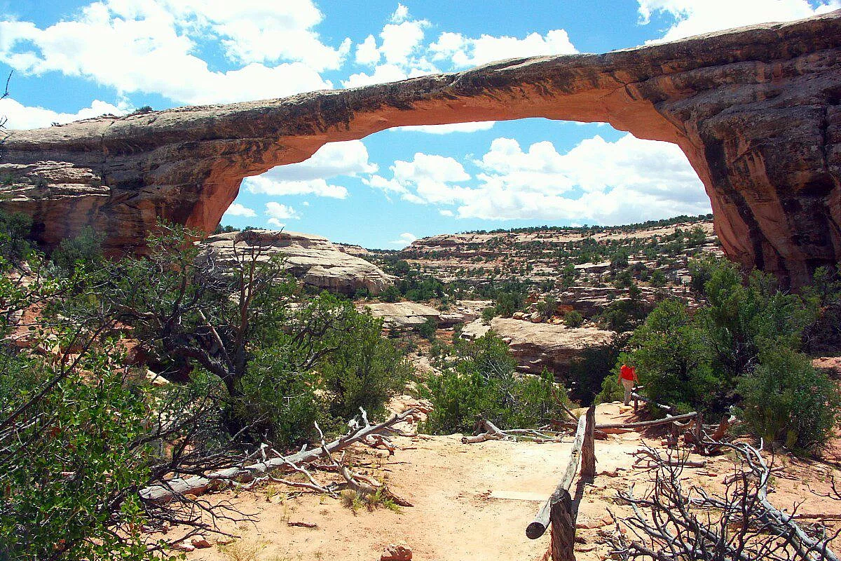 Owachomo bridge
