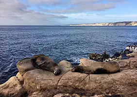 turistipercaso california-jewc1