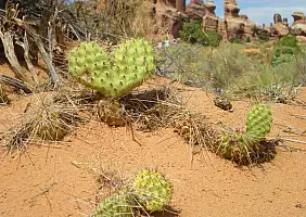 turistipercaso california-rbmnu