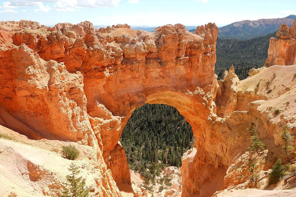 Bryce National Park