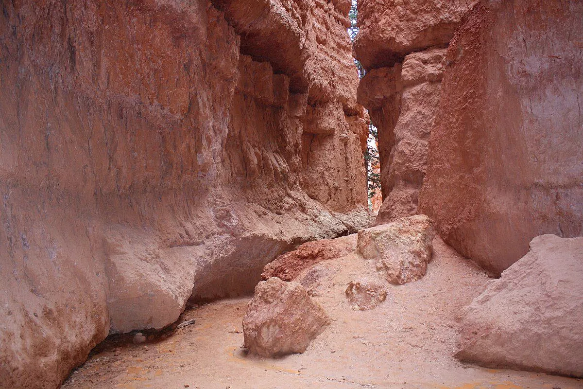 All'interno del Bryce Canyon