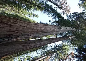 turistipercaso california-xasg3