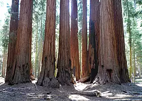 turistipercaso california-xymep