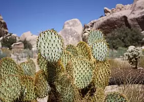 turistipercaso california-ymjjw