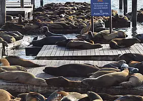 turistipercaso california-zepd9