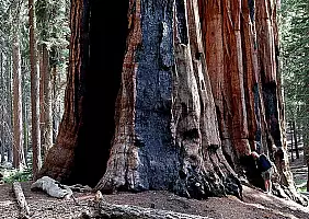 turistipercaso california-zs7t2