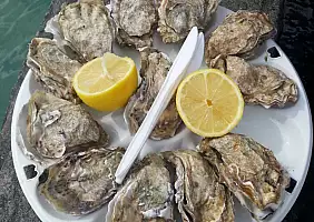 turistipercaso calvados-jpyqc