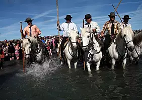 turistipercaso camargue-669mw