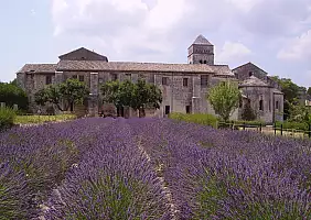turistipercaso camargue-6dru2