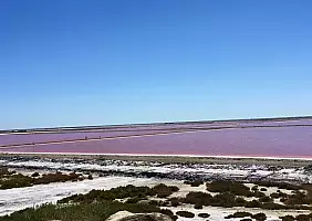 turistipercaso camargue-6e65h