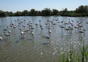 turistipercaso camargue-a3v9s