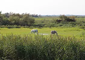 turistipercaso camargue-ac2q2