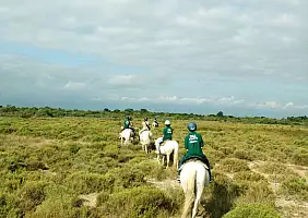turistipercaso camargue-cxsqt