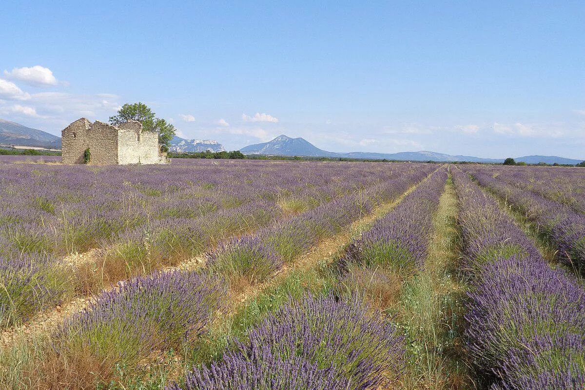 Tra i colori della Provenza