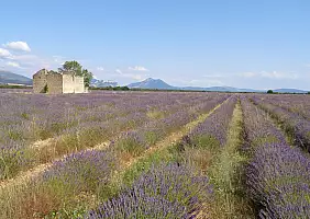 turistipercaso camargue-d2shy