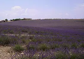 turistipercaso camargue-qsnkx