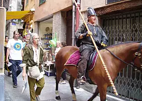 turistipercaso camargue-vwr7f
