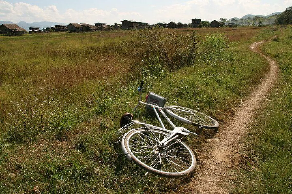 thai-bodja-nmar 2010