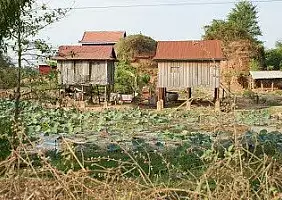 turistipercaso cambogia-69uxy