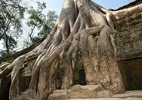 turistipercaso cambogia-c8ss2
