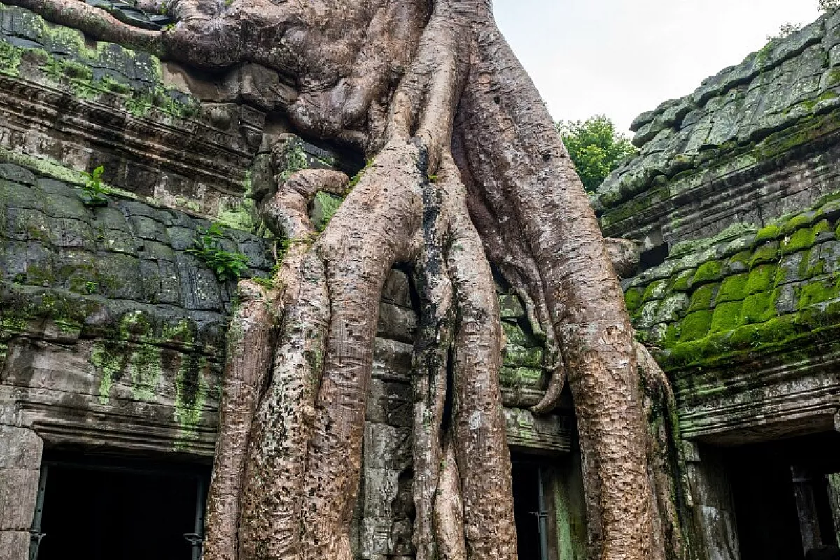 Ta Prohm
