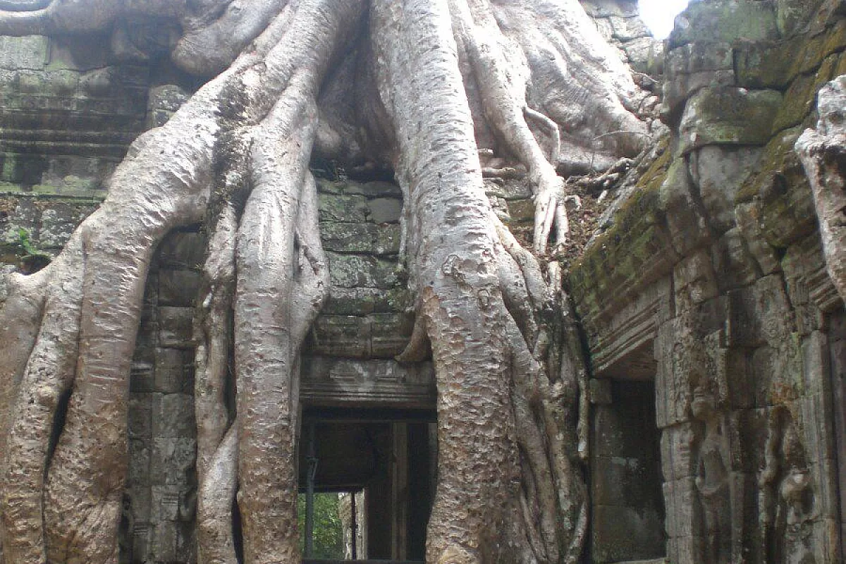 Angkor