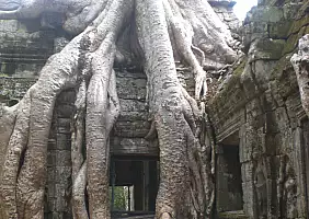turistipercaso cambogia-hn3wc