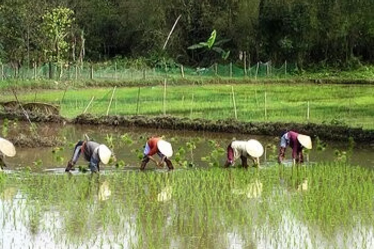 Diario di viaggio tra la Cambogia e il Vietnam