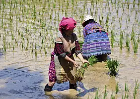 turistipercaso cambogia-xvxab