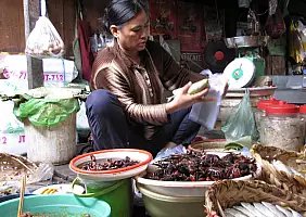 turistipercaso cambogia-zmn79