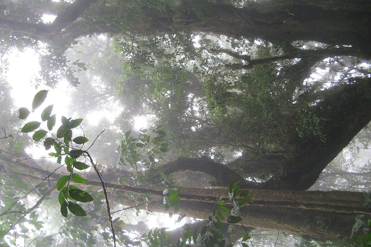 CAMERUN: TREKKING E AVVENTURA