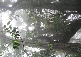 turistipercaso camerun-jkj7d