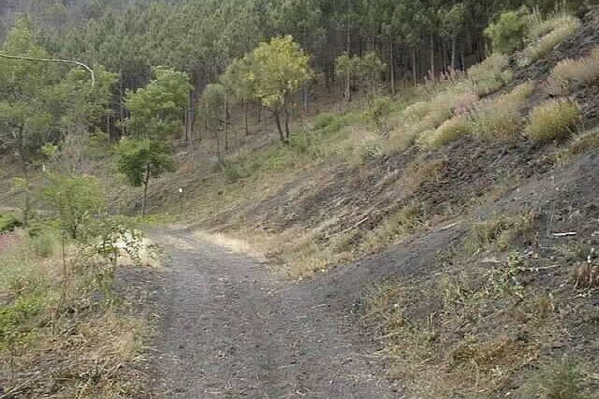 pardo del vesuvio