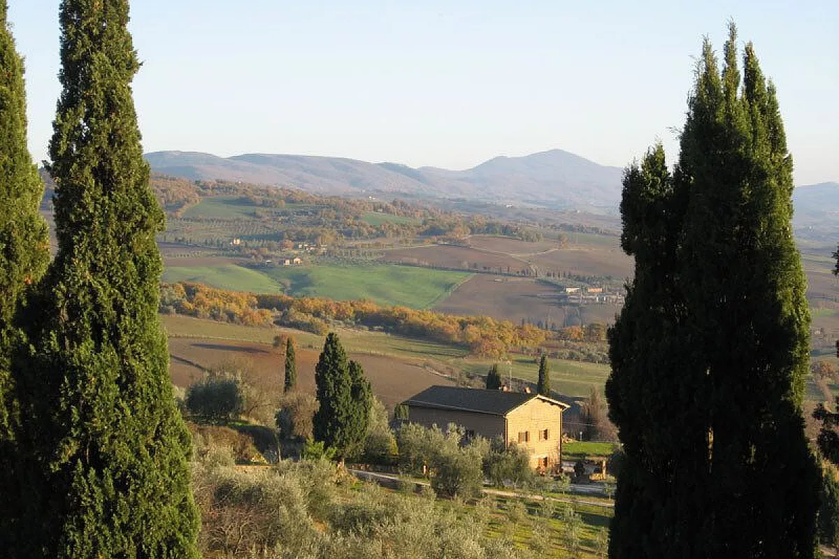 Terre di Siena