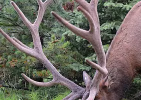 turistipercaso canada-wkjdv