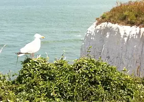 turistipercaso canterbury-s9fws
