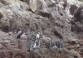 turistipercaso canyon-colca-4d12x
