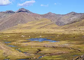 turistipercaso canyon-colca-t5quu