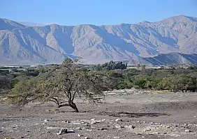 turistipercaso canyon-colca-u2tpt