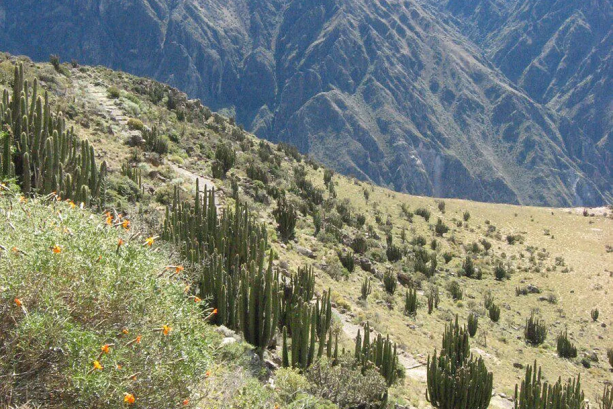 Perù e Bolivia vacanze da sogno