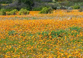 turistipercaso cape-town-mare-2kjdb